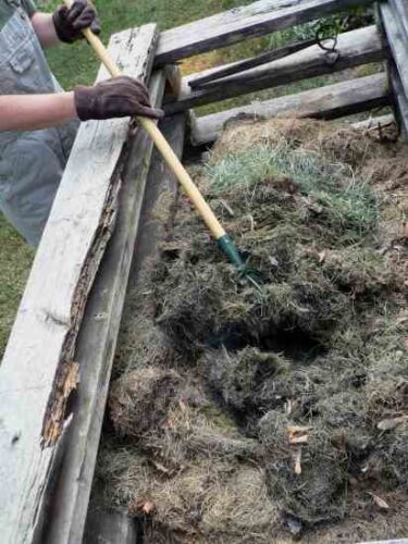 How to Buy the Best Compost